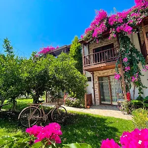 Faralya Misafir Evi Faralya